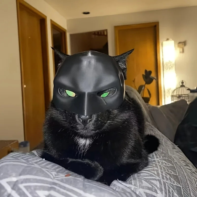 Máscara de gato