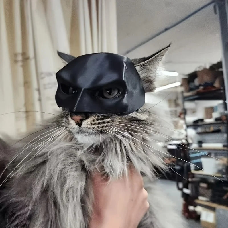 Máscara de gato