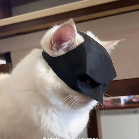 Máscara de gato
